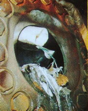 hidroelectrico 2